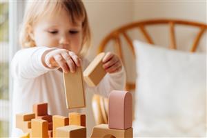 Toddler Playing with Blocks