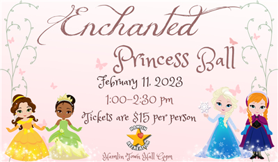 Enchanted Princess Ball